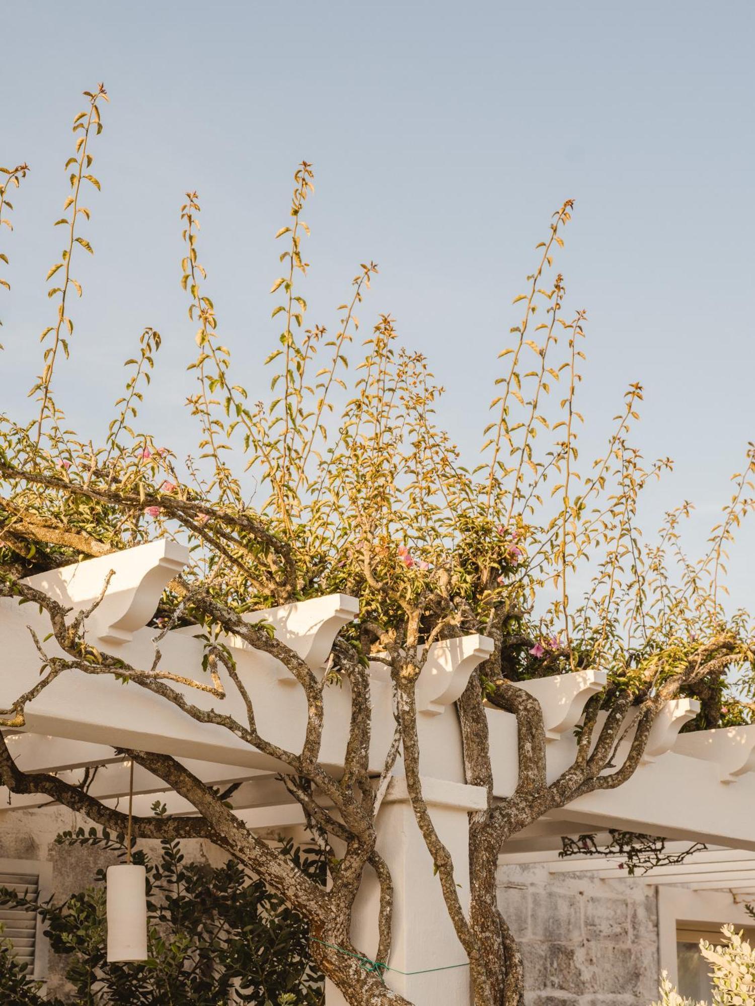 Morvedra Nou Luxury Boutique Hotel - Adults Only Ciutadella  Exterior foto